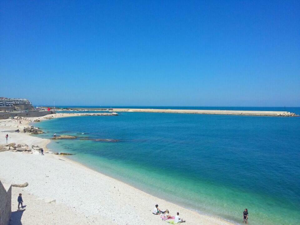 Casa Vacanze La Scalinata Bisceglie Eksteriør bilde